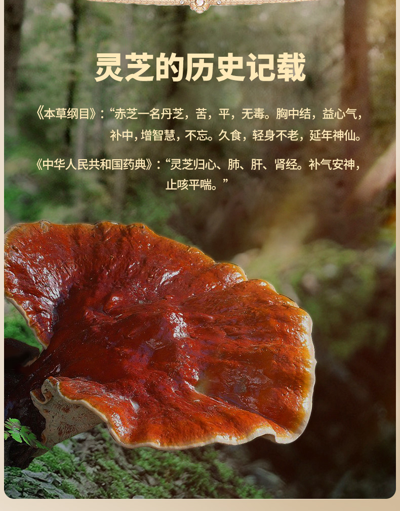 靈芝孢子油_02.jpg