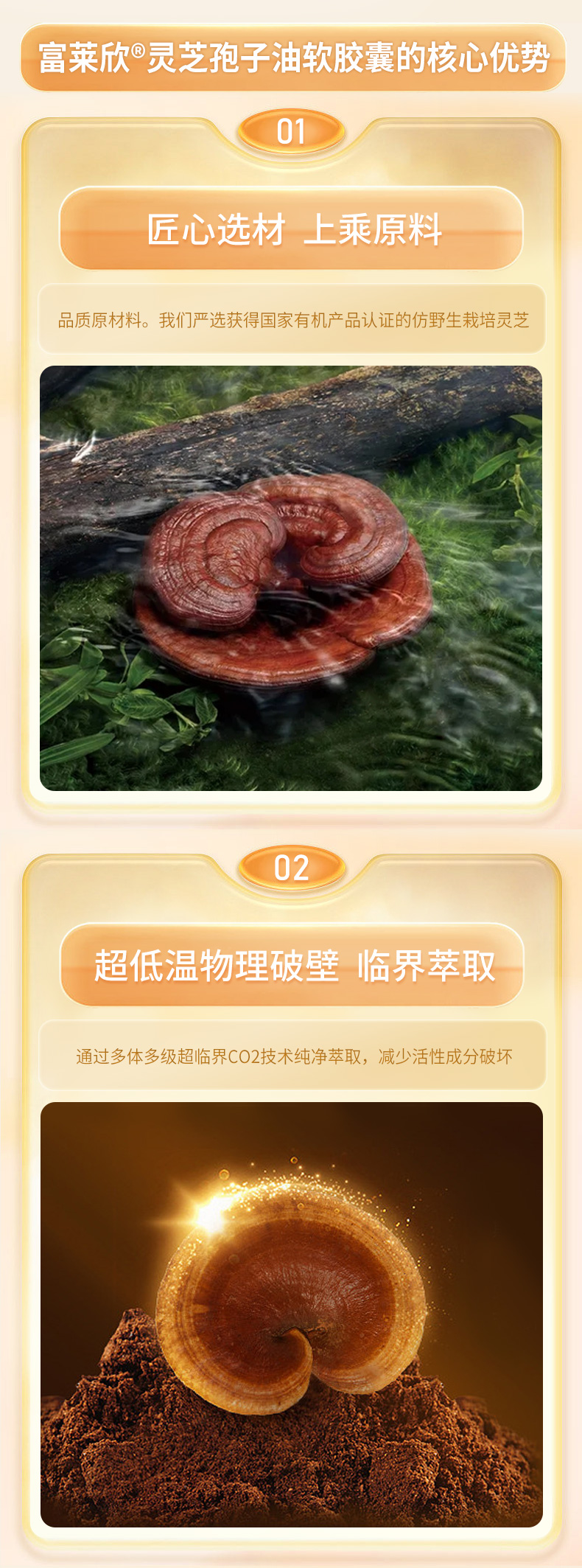 靈芝孢子油_06.jpg